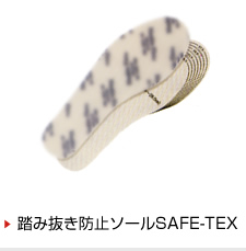 ݔh~\[SAFE-TEX